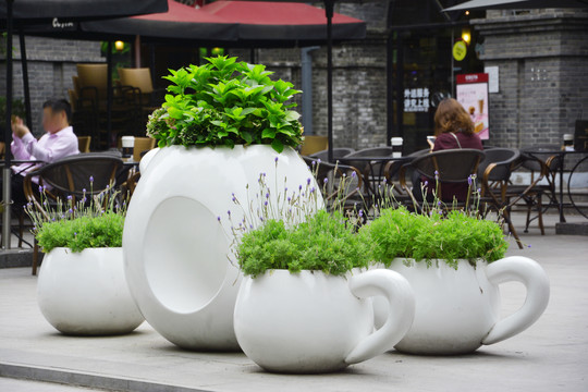 茶具景观盆栽