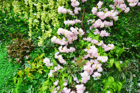 鲜花背景墙