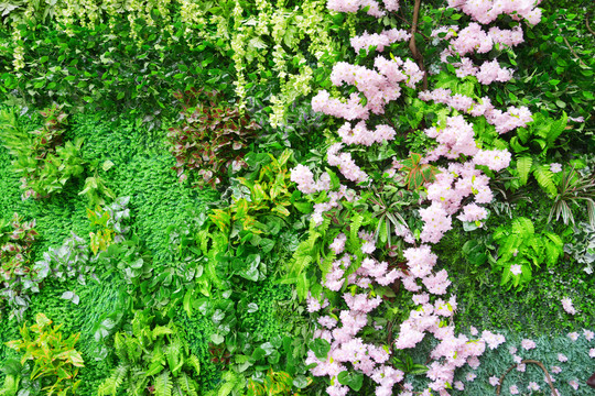 花卉植物景观墙