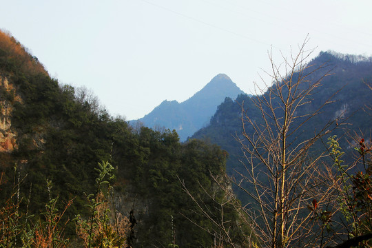 神龙架