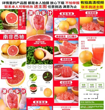 西柚詳情