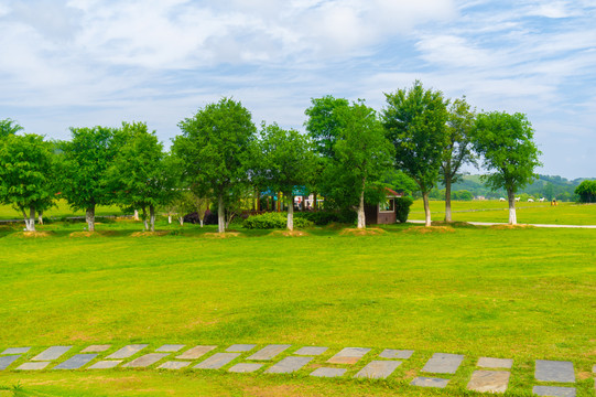 湖北武汉木兰草原风景区初夏风光