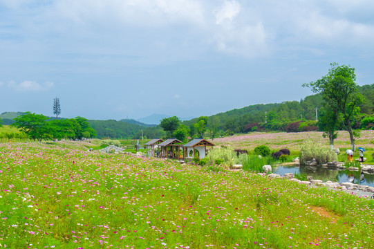 湖北武汉木兰草原风景区初夏风光