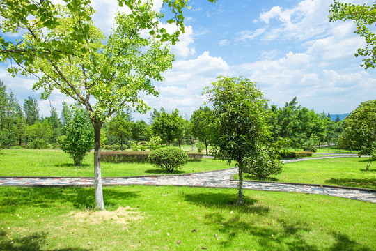 大学校园草地公园