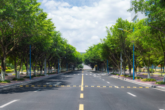 大学校园道路