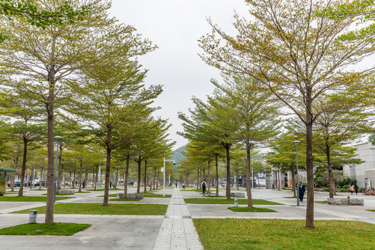 城市风景