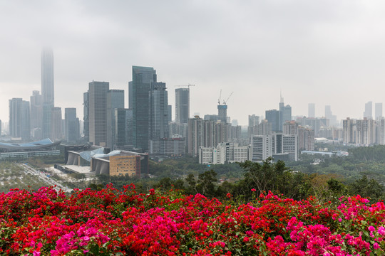 城市风景