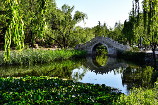 清华大学