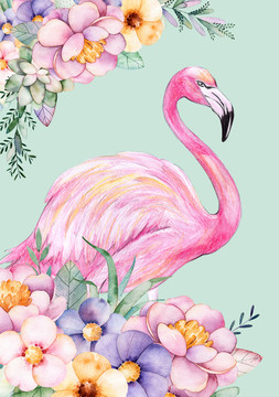 火烈鳥水彩畫