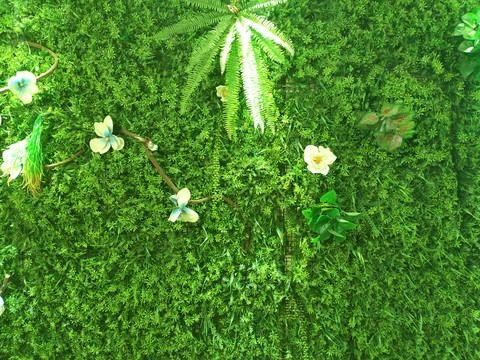 绿色植物墙