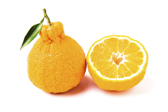 不知火柑橘