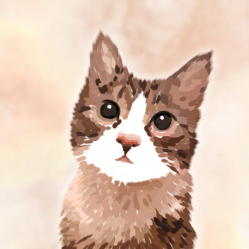 貓咪