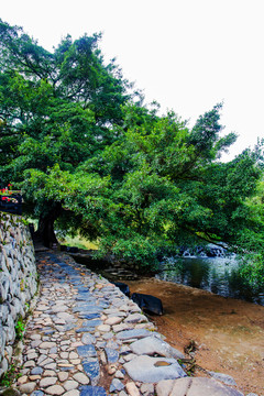 福建云水谣古村