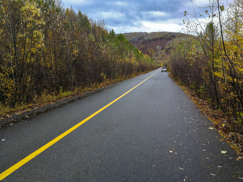 秋季森林公路