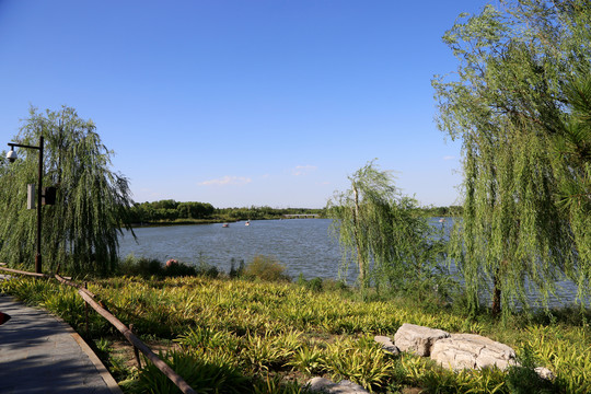 北京南海子郊野公园
