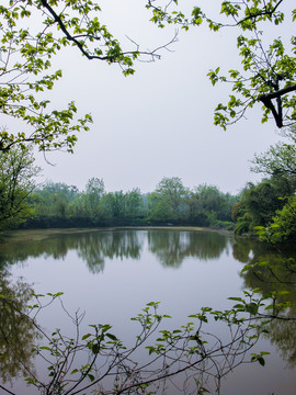 西溪湿地