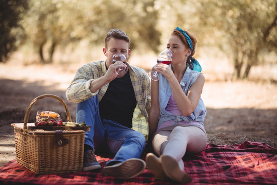 年轻夫妇坐在农场喝红酒