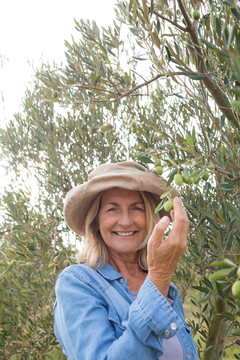 农场里从树上采摘橄榄的快乐女人