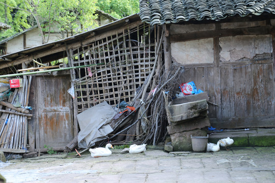 烂屋