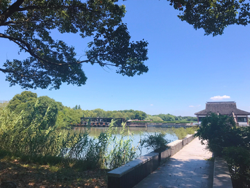 江南旅游苏州沙家浜风景区摄影