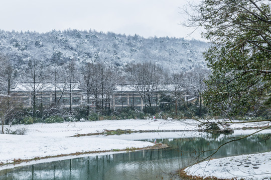 雪景