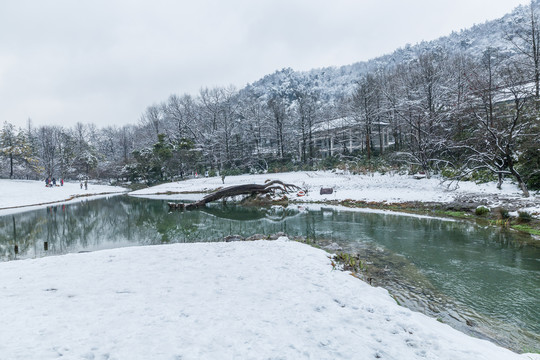 雪景