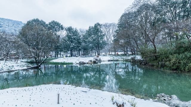 雪景