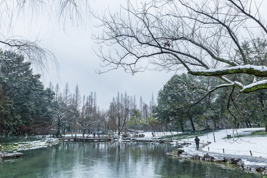 雪景