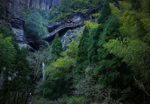 溪水石头小台阶山景森林