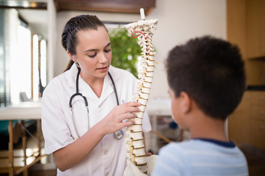 女性治疗师用人造脊柱解释男孩