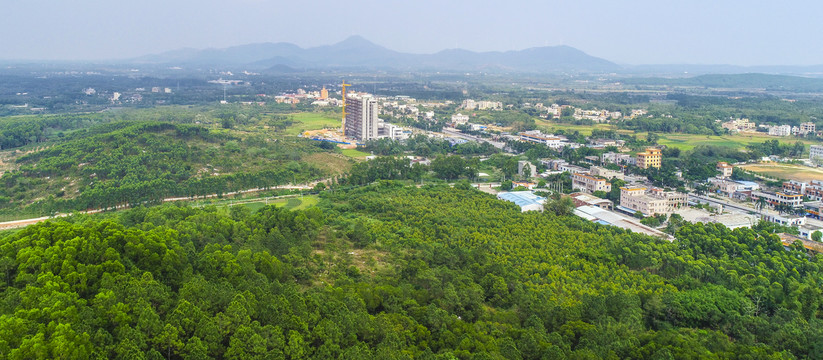 马山生态公园