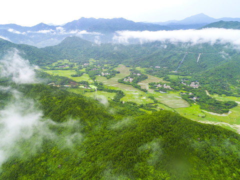 雨后景象