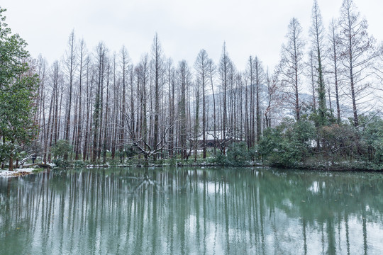 雪景