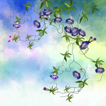 水彩牽牛花裝飾畫