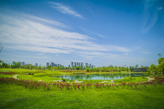 成都桂溪生态公园