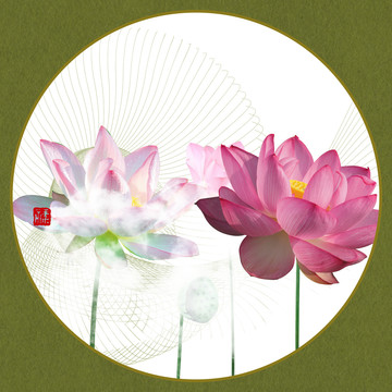 荷花工筆畫(huà)