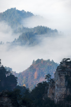 雾锁山峦