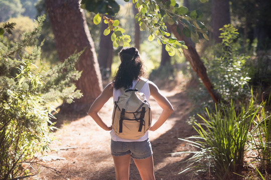 森林中女性徒步旅行者的后视图