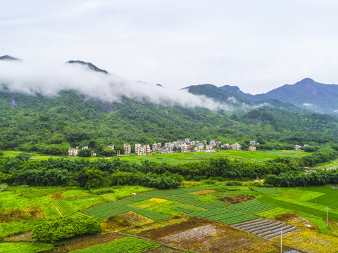 阳西旅游