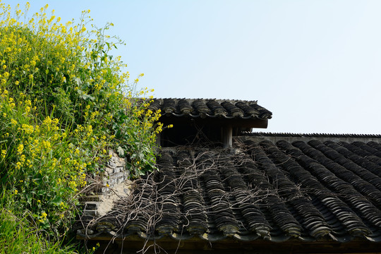 古窑屋顶