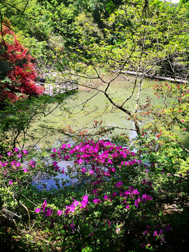 莫干山