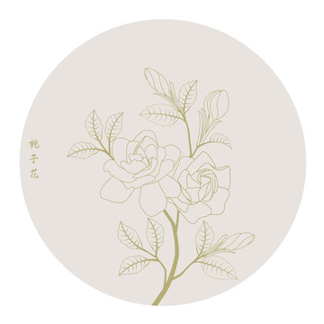 线描栀子花