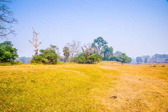 尼泊尔原野