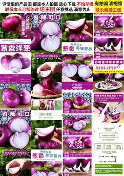 洋蔥詳情