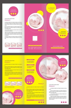嬰兒孕婦孩子教育招生折頁(yè)宣傳