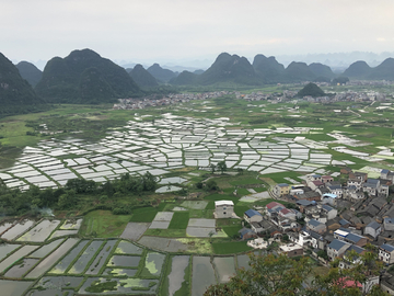 青山绿水