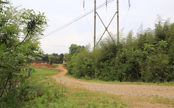 乡间小路