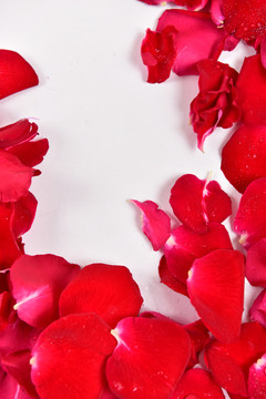 玫瑰花瓣背景素材