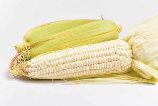 新鲜糯玉米图片