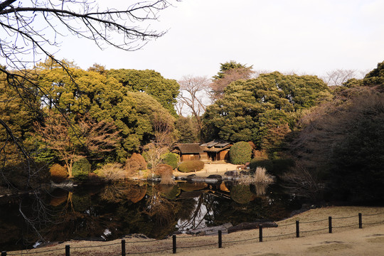 景观东京国立博物馆庭园